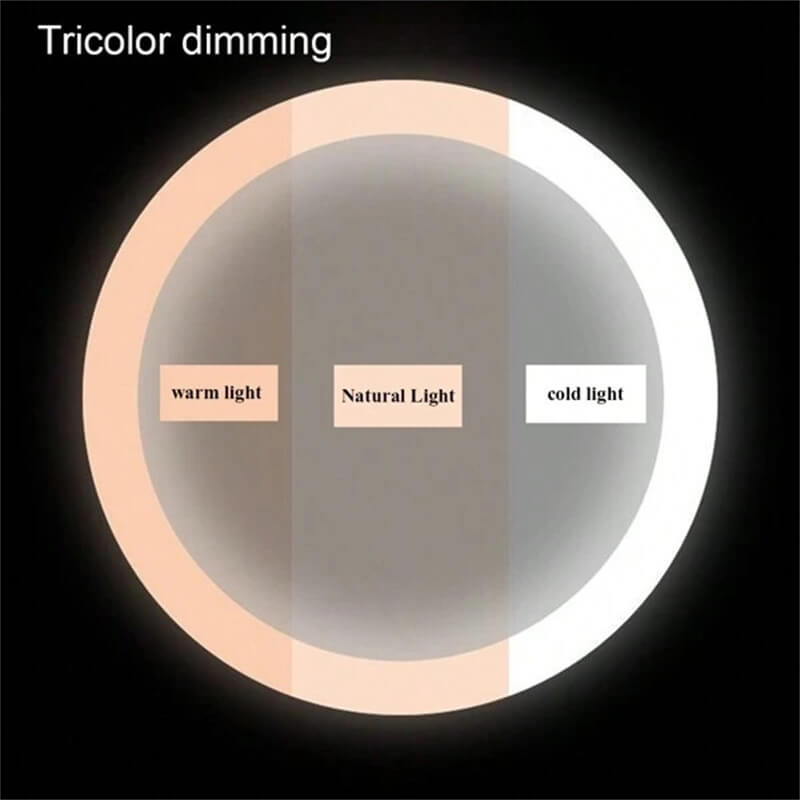 Vanity Mirror With Dimmable LED Light And 360 Degree Rotation, Touch Control