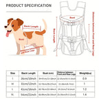 Rucsac transportor pentru câini LumaTrail cu vedere frontală pentru activități în aer liber