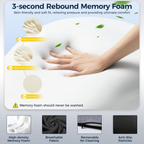 Ergonomic Cocoon Cushion For Posture And Everyday Comfort