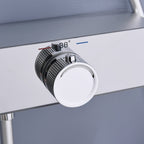 Aurelle | Sistem avansat de duș cu cap de ploaie | Petprovac