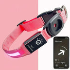 Collar impermeable LED LumaPaw con ranura para rastreador para perros
