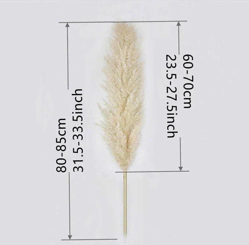 80 cm natural, real dried pampas grass bouquet (white / beige / gray) │ fluffy feather for modern boho home decor