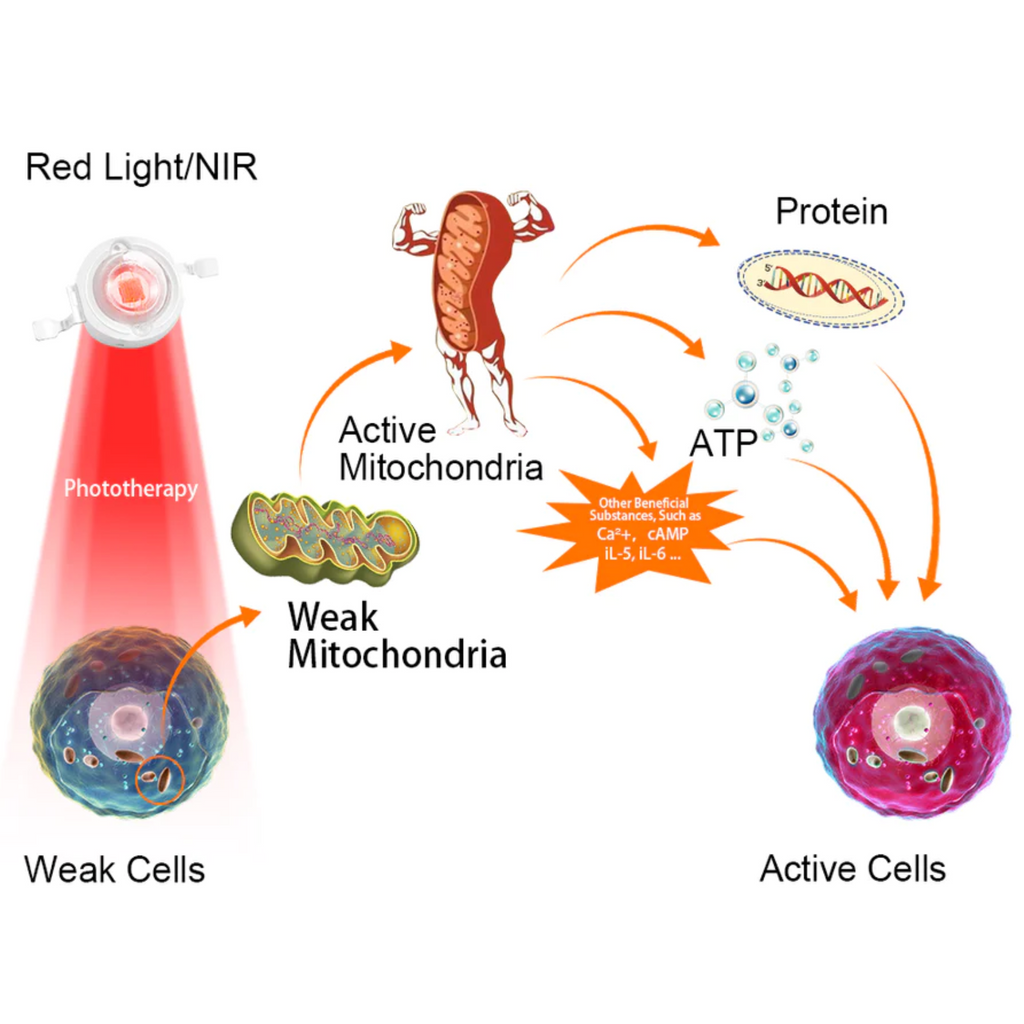 ArthroGlow Near Infrared Hand Therapy Gloves for Arthritis