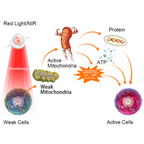 ArthroGlow Near Infrared Hand Therapy Gloves for Arthritis