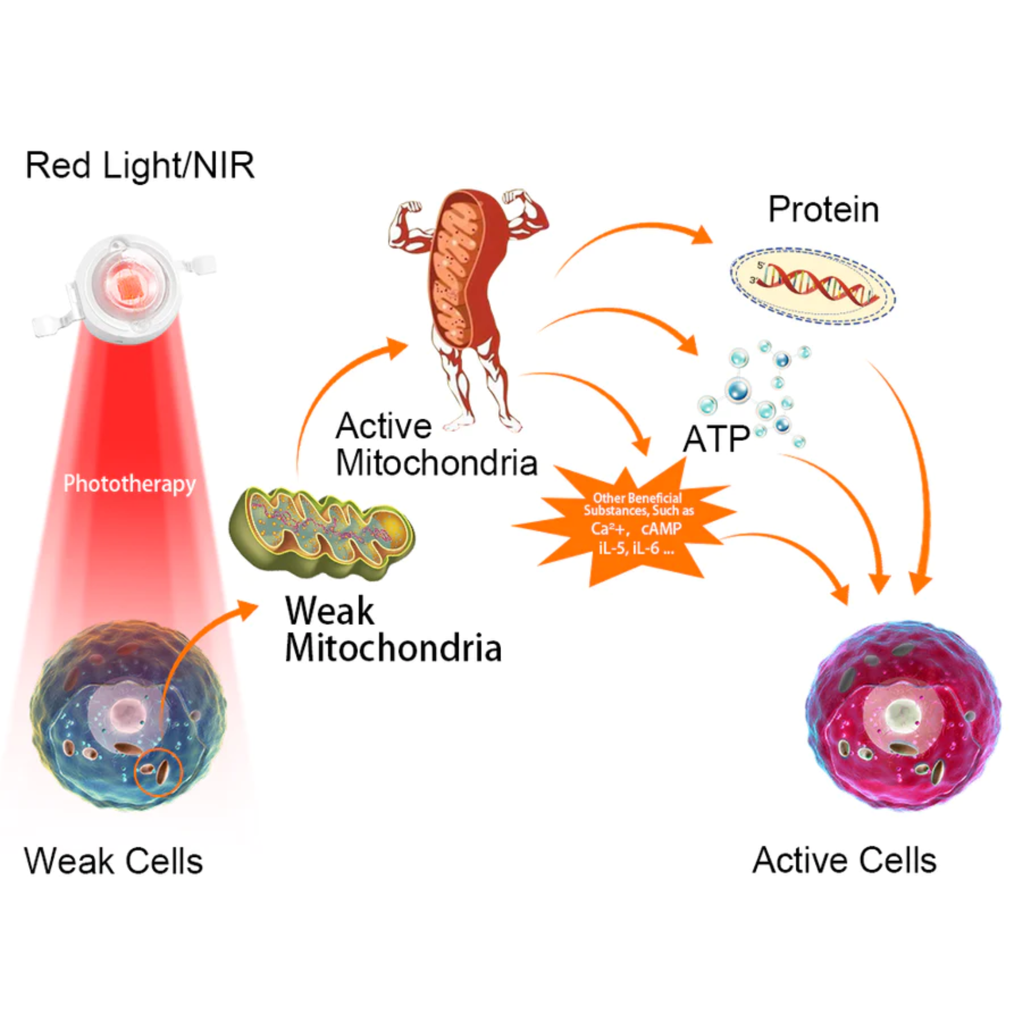 ArthroGlow Near Infrared Hand Therapy Gloves for Arthritis