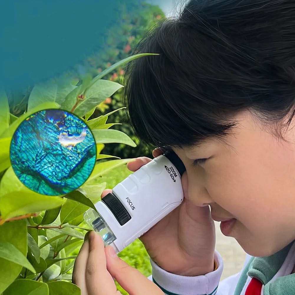 Portable Microscope for Young Explorers, Discover Hidden Details On Every Walk With A Pocket Companion