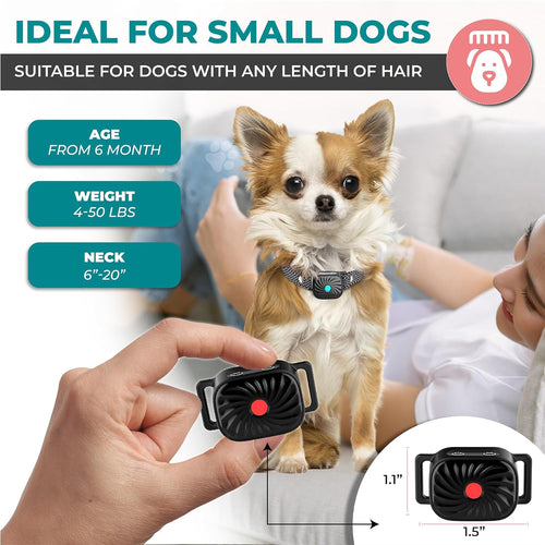 CalmPaw BarkGuard Küçük Köpekler İçin Nazik Caydırıcı Tasma