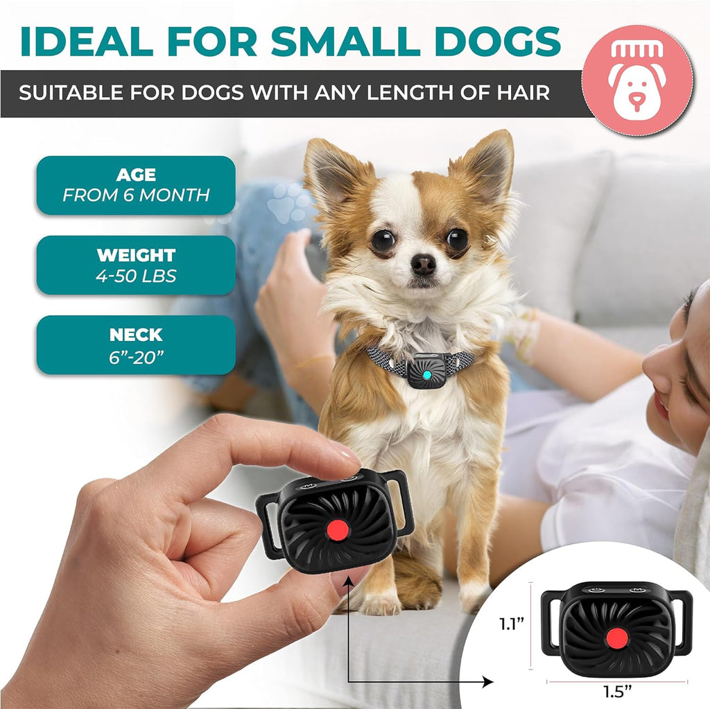 Antibell Neck Band For Small Dogs With Tones And Vibrations