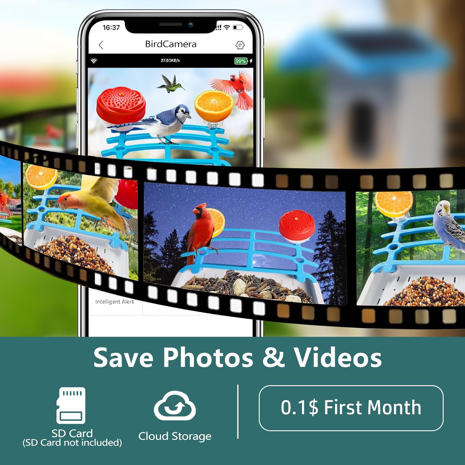 SolaraCam Kamera Suria Pengumpan Burung untuk Penggunaan Rumah Luar Rumah