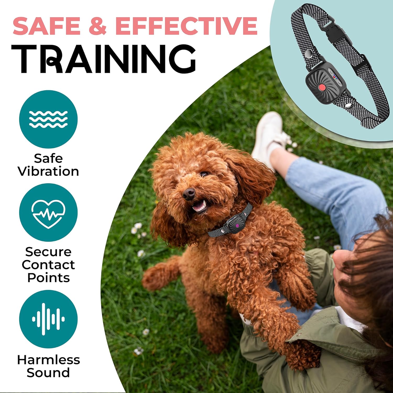 Antibell Neck Band For Small Dogs With Tones And Vibrations