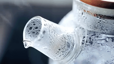 Wilmax termoglas tekande 54 oz, komfurssikker til teelskere