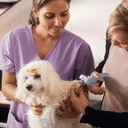 Cortaúñas para Perros Aprobados por Veterinarios FurNest para un Cuidado Sin Dolor