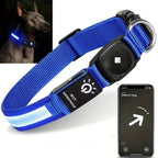 Collar impermeable LED LumaPaw con ranura para rastreador para perros