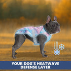 Hundekühlweste mit UV-Schutz, atmungsaktiv und leicht für alle Rassen S-XXL