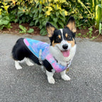 Hundekühlweste mit UV-Schutz, atmungsaktiv und leicht für alle Rassen S-XXL