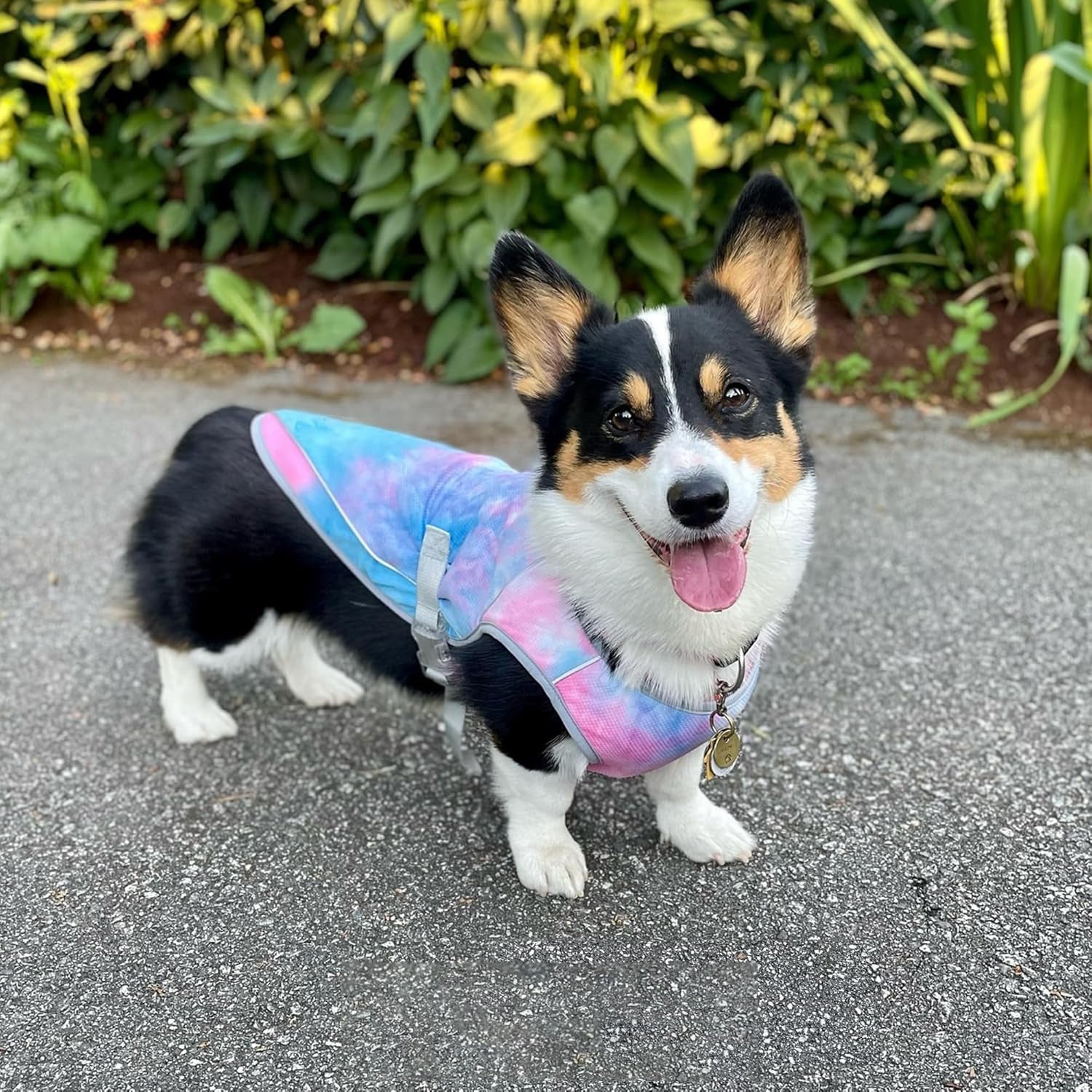 Hundekühlweste mit UV-Schutz, atmungsaktiv und leicht für alle Rassen S-XXL