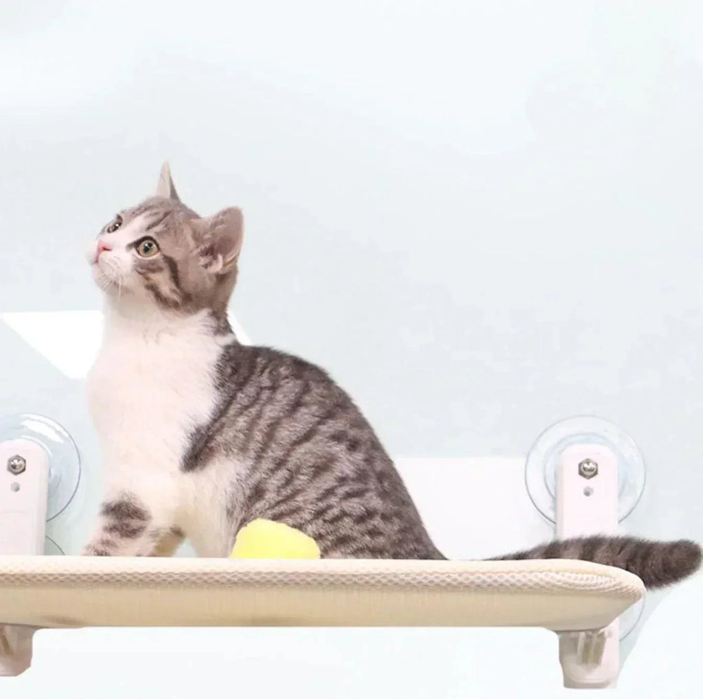 Cama Hamaca LunaPerch para Gatos y Gatitos Salón Acogedor