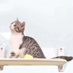 Cozy Hanging Cat Hammock For Cats And Kittens Comfortable Lounger