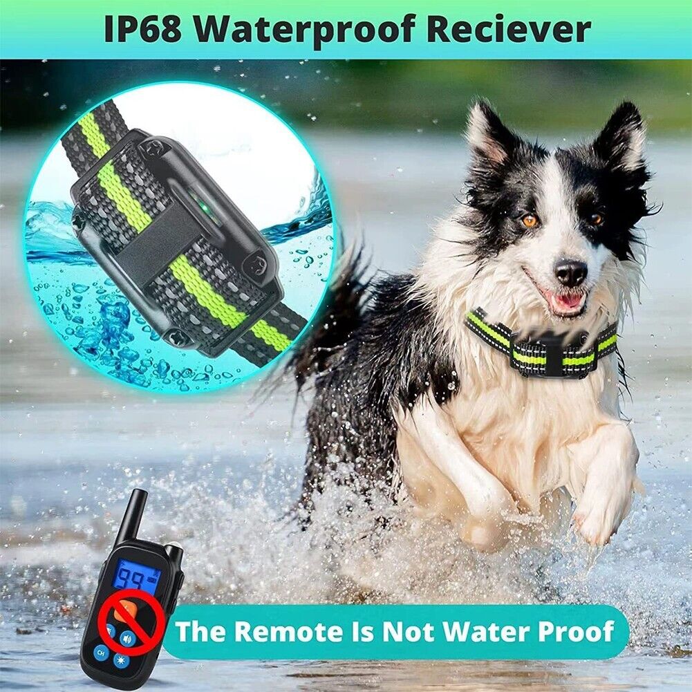 Collier Électronique Elite AeroPaw Pro Télécommande Anti-Aboiement pour Chiens
