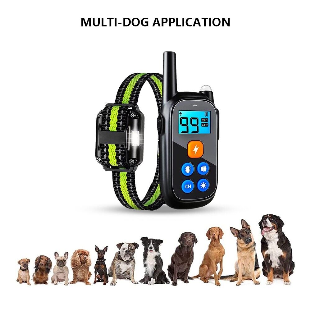 Collier Électronique Elite AeroPaw Pro Télécommande Anti-Aboiement pour Chiens