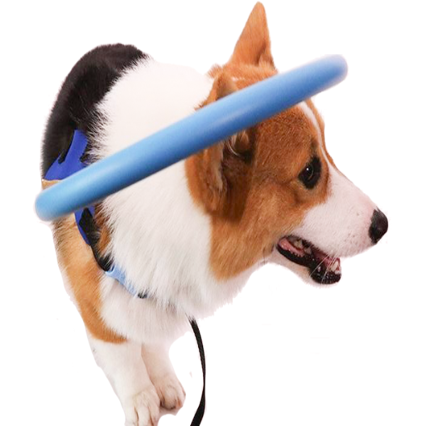 ブライトガイド バンパーカラー ハーネス 視覚障害犬用 毎日の散歩用