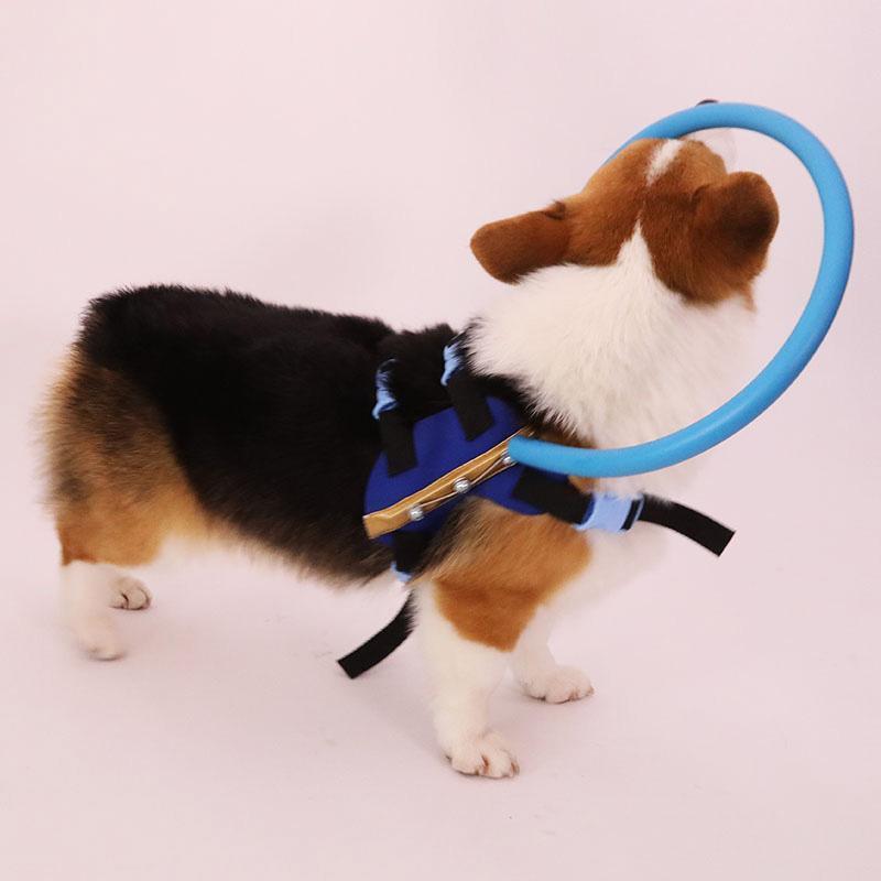 Wanda Supply Kör Köpekler İçin Tamponlu Boyun Tasması