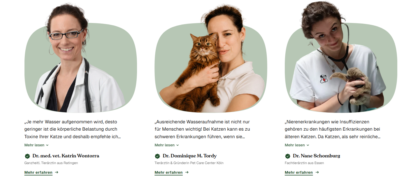 Fuente compacta para gatos de acero inoxidable con bomba silenciosa y filtro de varias etapas para hidratación diaria