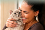 Fuente compacta para gatos de acero inoxidable con bomba silenciosa y filtro de varias etapas para hidratación diaria