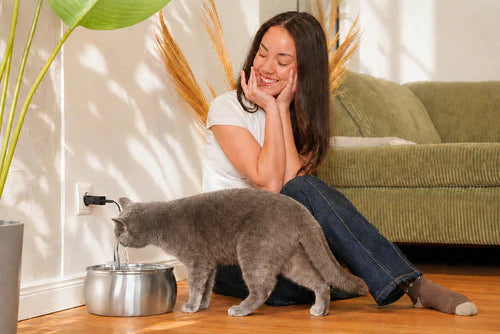 Fontaine à eau pour chat en acier inoxydable avec pompe silencieuse et filtre multi-étapes pour une hydratation quotidienne
