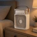 Fan with Cooling and Humidifying Function