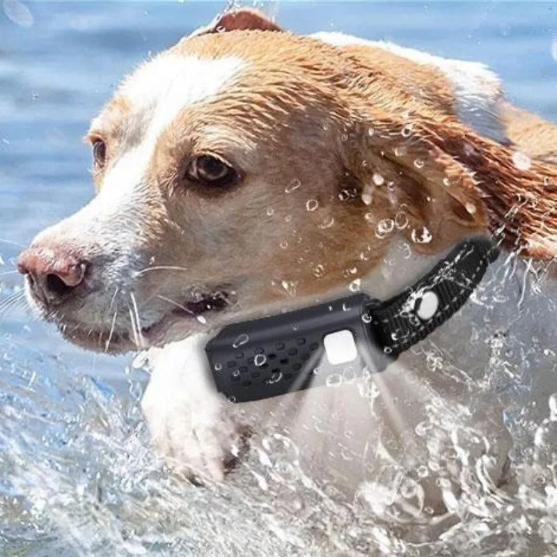 NovaPaw távirányítós kutyakiképző nyakörv 3280 láb hatótávolsággal kutyák számára