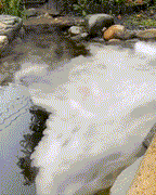 Professional Ultrasonic Mist Maker for a Relaxing Oasis