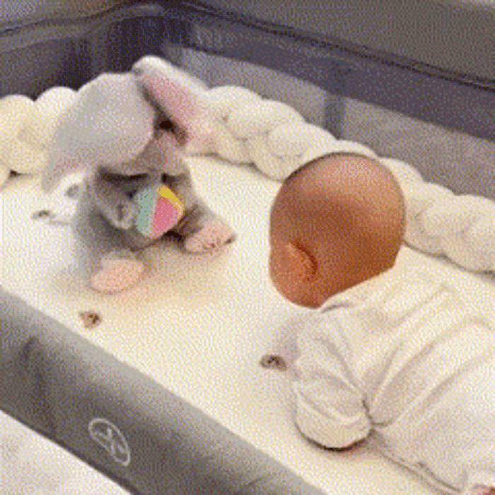 Interactive Plush Elephant for Early Development and Playtime Comfort