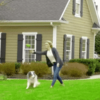 Collier de clôture pour chien sans fil ZenGuard Pro invisible étanche