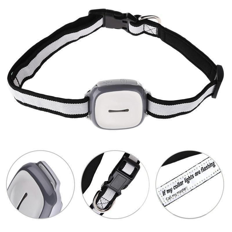 PawTrail Vandtæt GPS kæledyrstracker | Petprovac