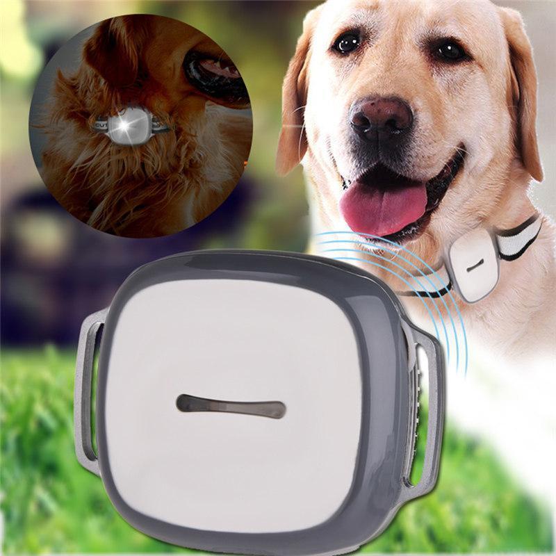 PawTrail עמיד למים GPS מעקב חיות מחמד | Petprovac