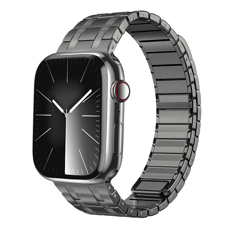 Alera | Frostet rustfritt stål magnetisk rem for Apple Watch | Petprovac