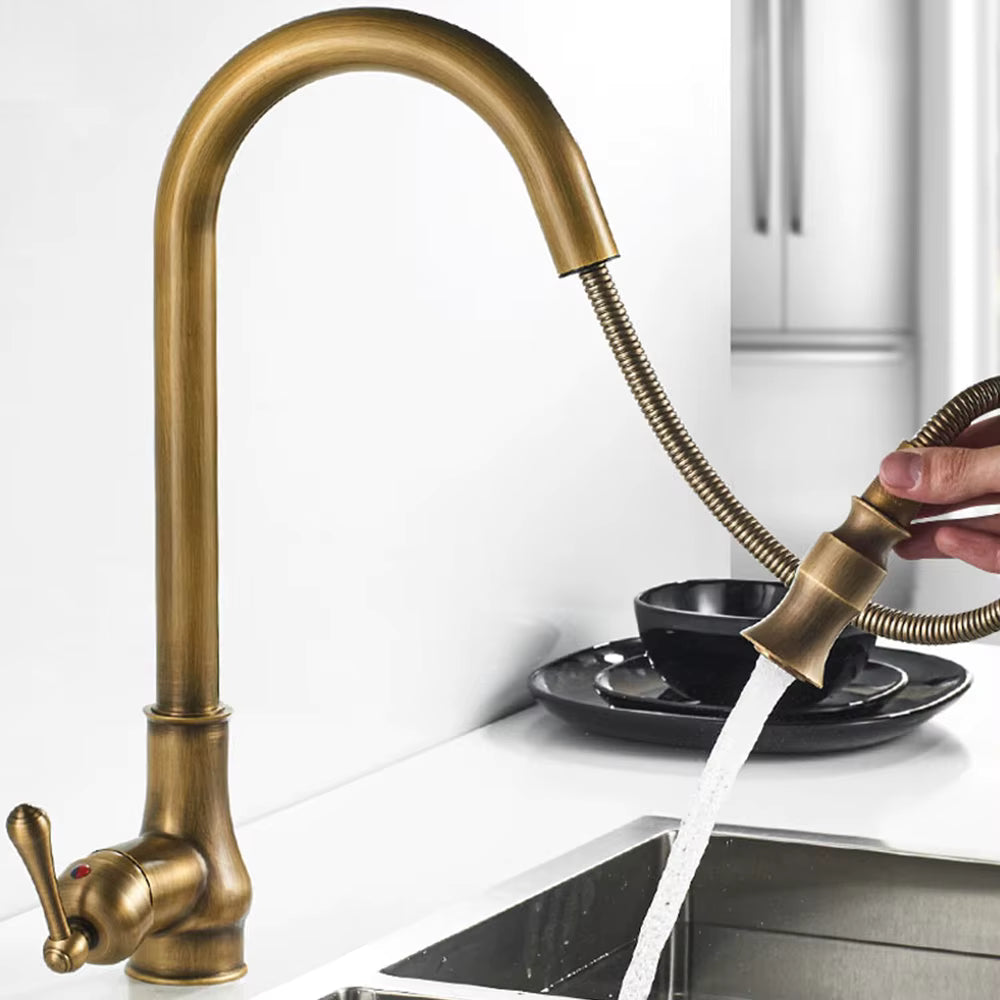 Norelle Antique Brass Swivel Kitchen Faucet With Black