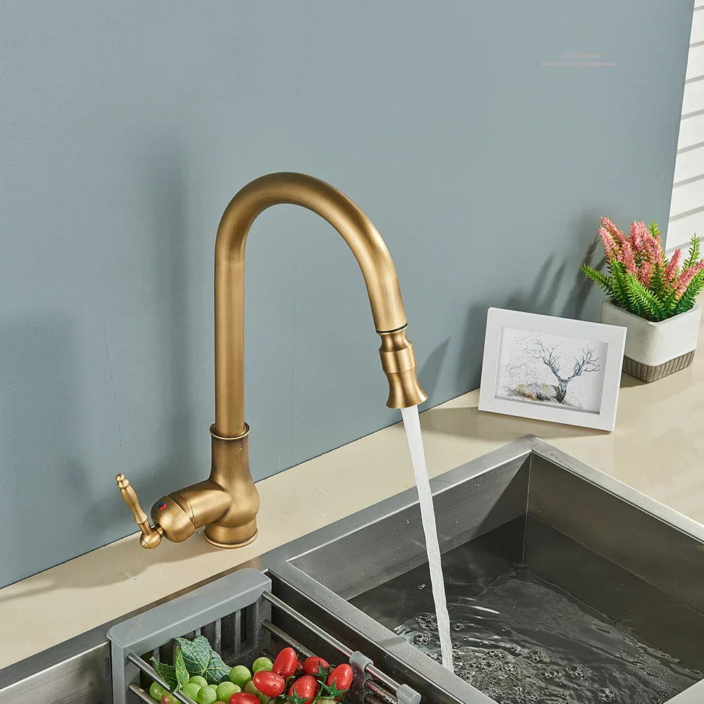 AstraNova Vintage Brass Kitchen Faucet With Swivel Spout And Black Accent
