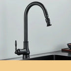 Norelle Antique Brass Swivel Kitchen Faucet With Black