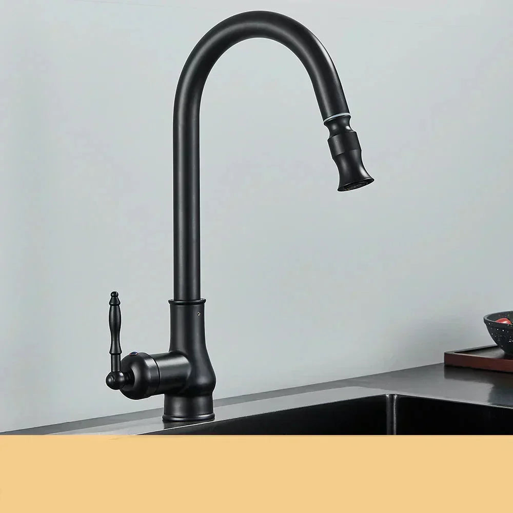 AstraNova Vintage Brass Kitchen Faucet With Swivel Spout And Black Accent