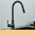 AstraNova Vintage Brass Kitchen Faucet With Swivel Spout And Black Accent