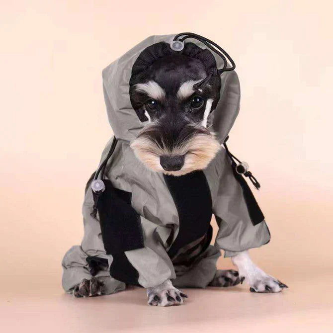 BarkDry vanntett reflekterende hundedekken med ben, UK