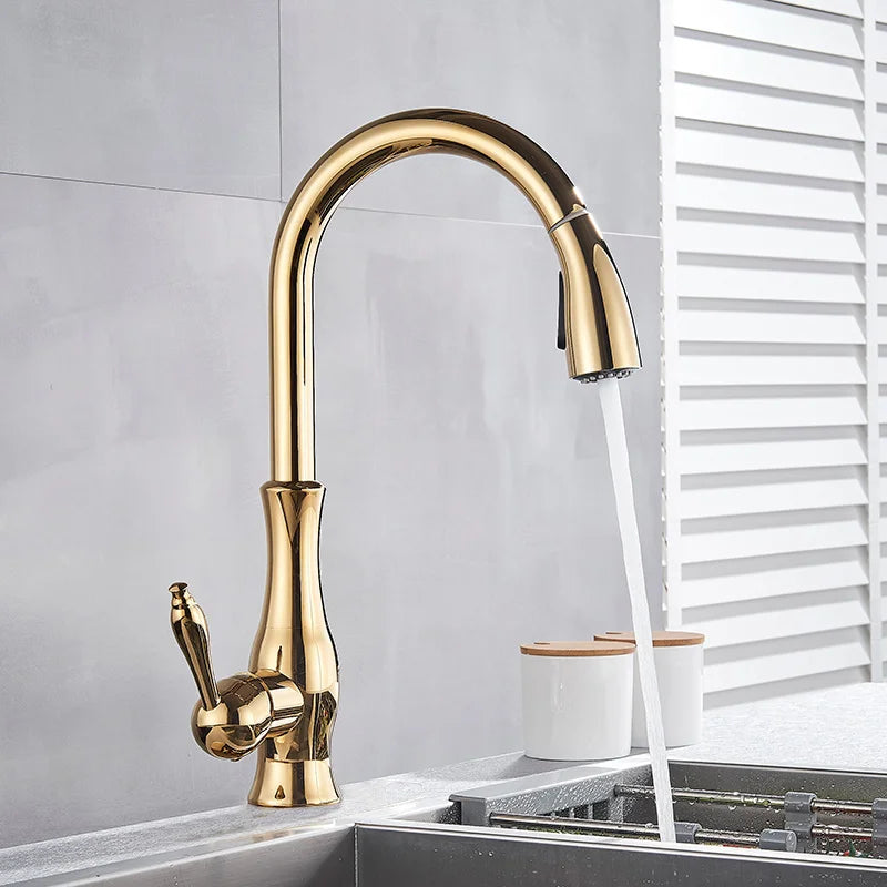 LumaGleam Gold Kitchen Faucet With Pull Out Sprayer