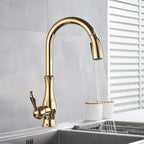 LumaGleam Gold Kitchen Faucet With Pull Out Sprayer