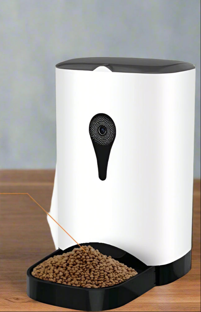 טיפול במצלמה לכלבים | Petprovac