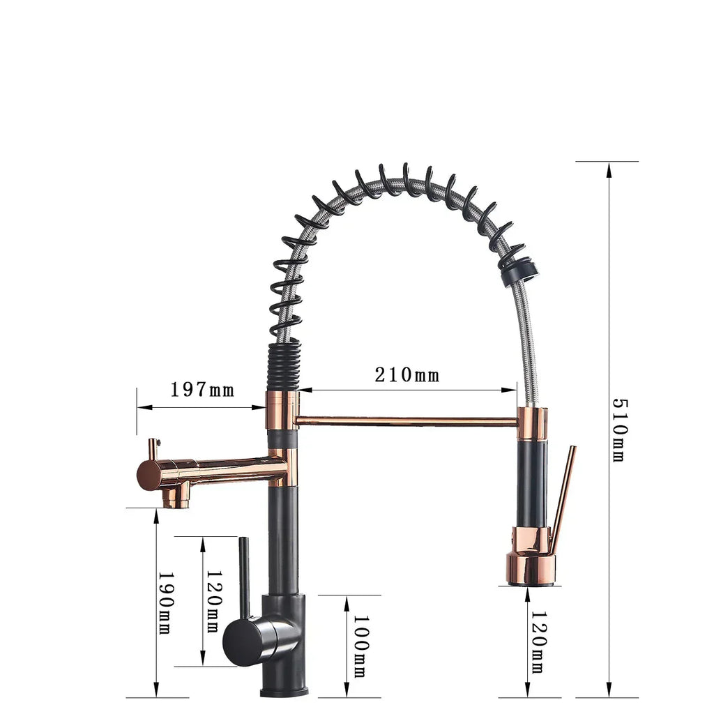 Robinet de cuisine extractible NovaFlow à double bec Finition bicolore