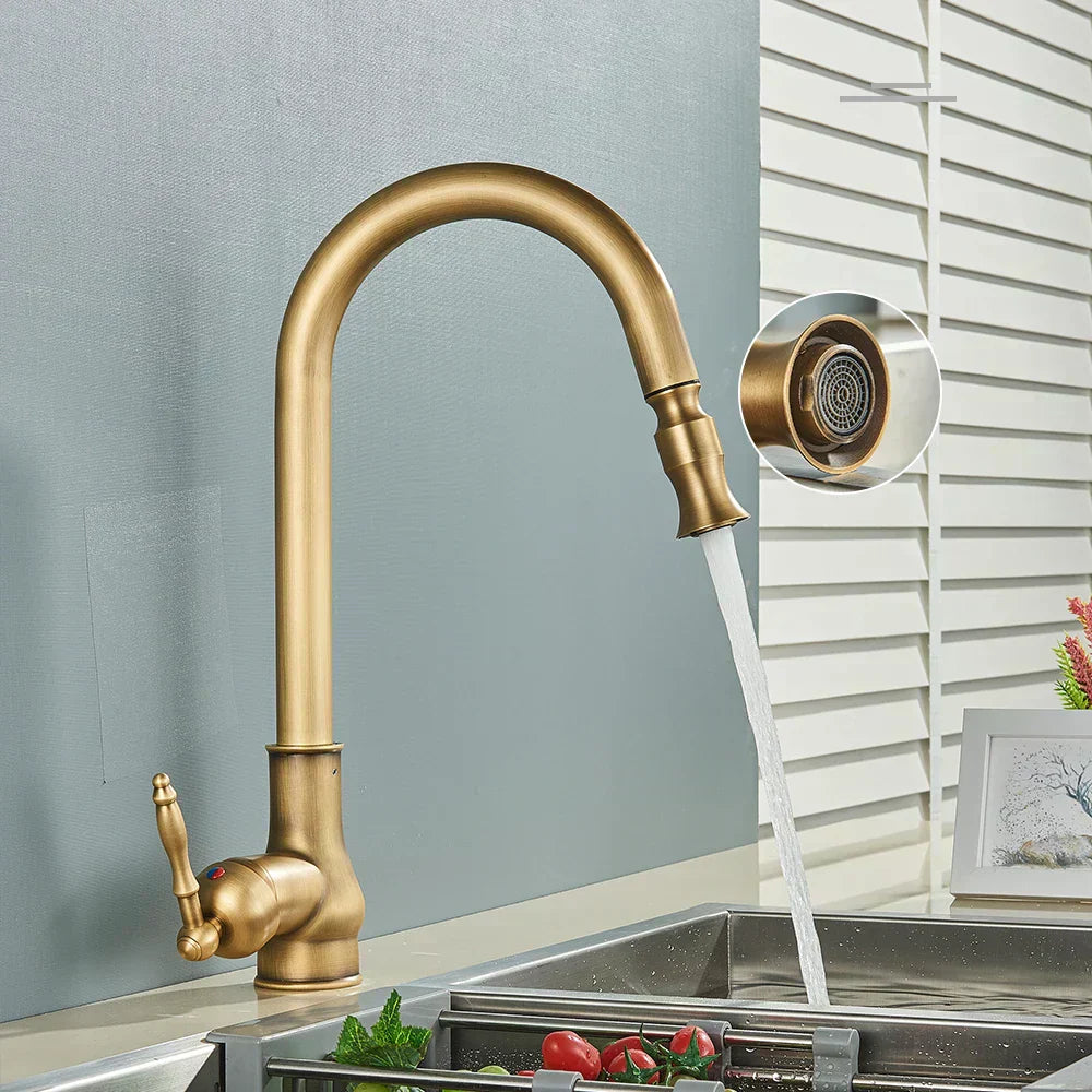 AstraNova Vintage Brass Kitchen Faucet With Swivel Spout And Black Accent