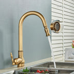 AstraNova Vintage Brass Kitchen Faucet With Swivel Spout And Black Accent