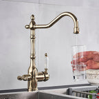 Rubinetto da cucina Hamilton Classic con filtrazione e rotazione a 360 gradi